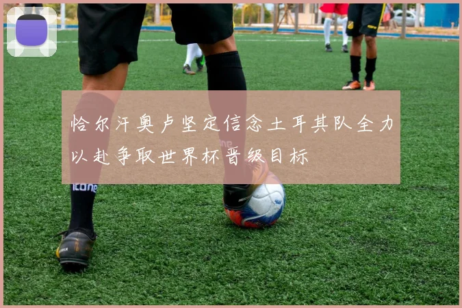 恰尔汗奥卢坚定信念土耳其队全力以赴争取世界杯晋级目标