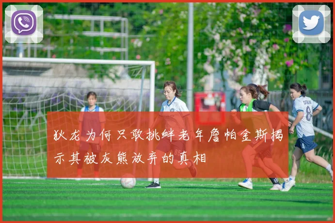 狄龙为何只敢挑衅老年詹帕金斯揭示其被灰熊放弃的真相