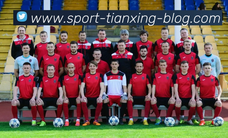 天行体育平台生态图