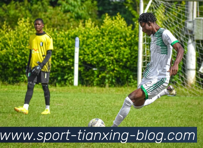 天行体育APP 封面图