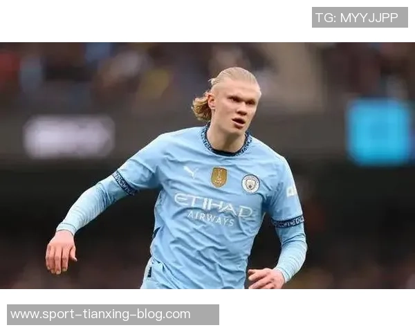 迪尼谈哈兰德影响力多支球队纷纷引进北欧前锋提升实力 迪尼谈哈兰德影响力多支球队纷纷引进北欧前锋提升实力